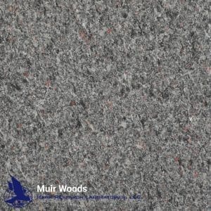 Resurfacing Finishes 7 Muir Woods